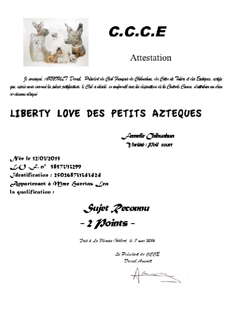 Of Eyden Cashmere - LIBERTY - SUJET RECONNU !